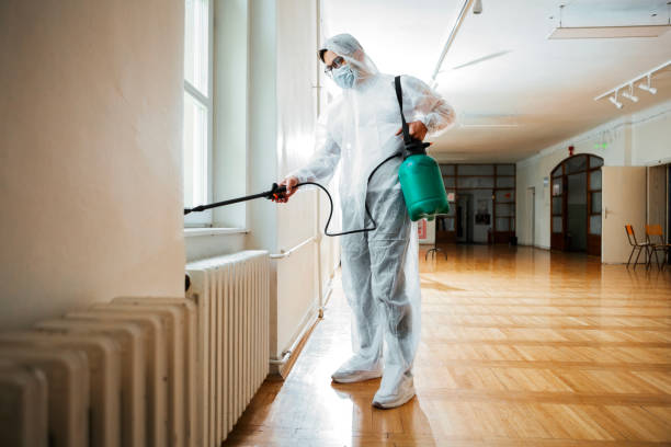 Best Ant Control Services  in Harbor Beach, MI